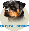 Cristal Benny WD Von Rottssel